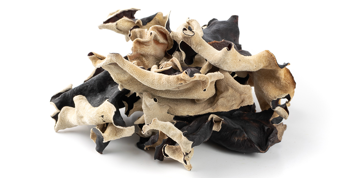 difference-between-cloud-ear-fungus-and-wood-ear-fungus-and-their-benefits-2