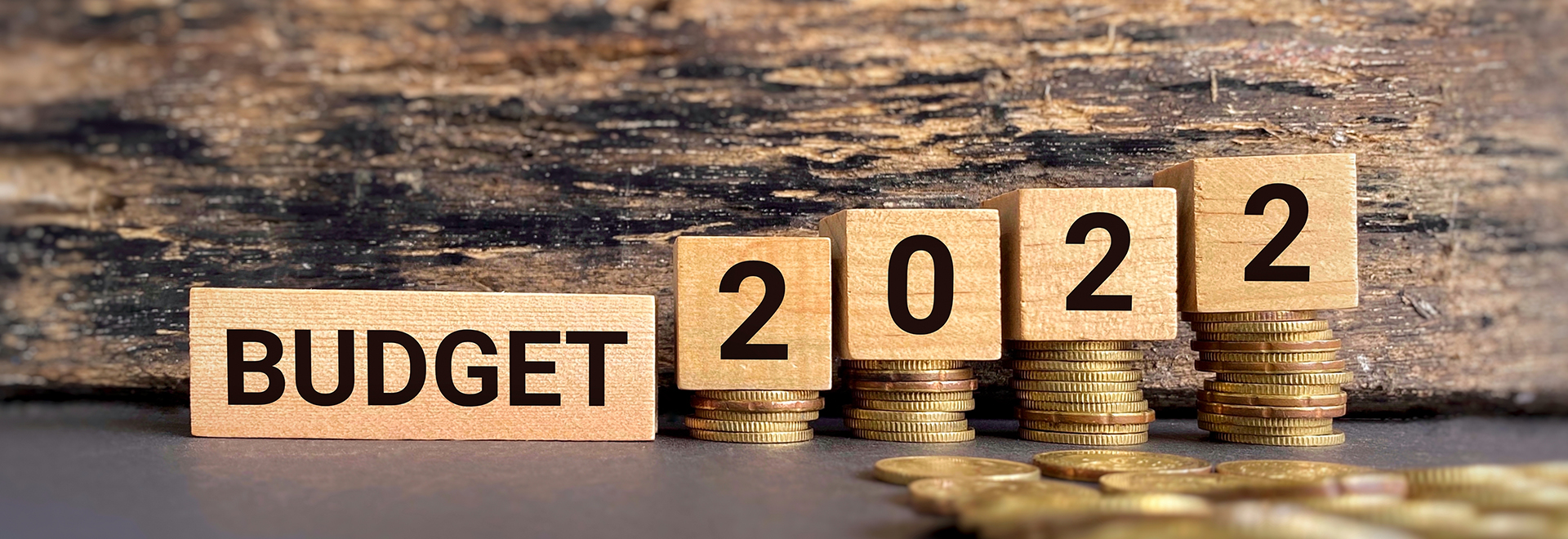 hong-kong-government-budget-2022