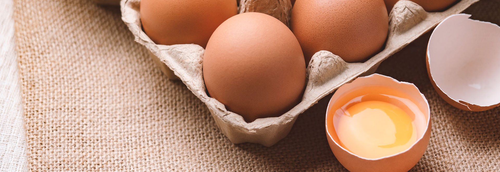 lets-talk-about-eggs