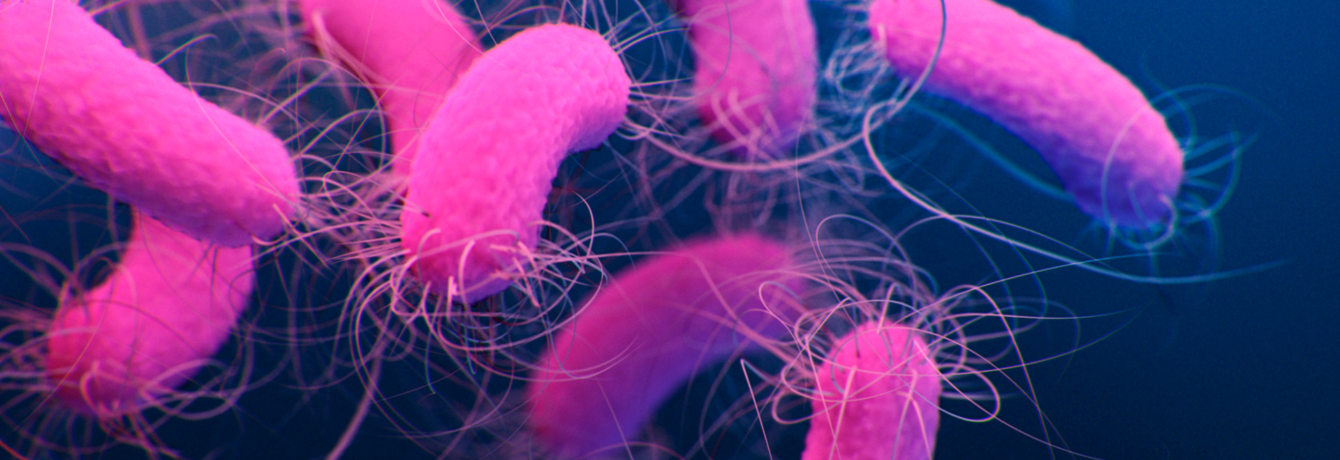 pseudomonas-aeruginosa-infection-causes-symptoms-treatment-prevention
