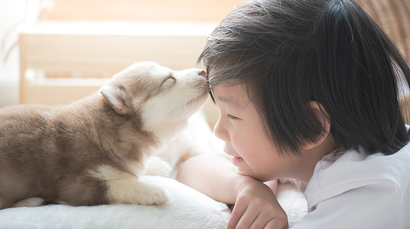 raising-your-kids-with-pets1