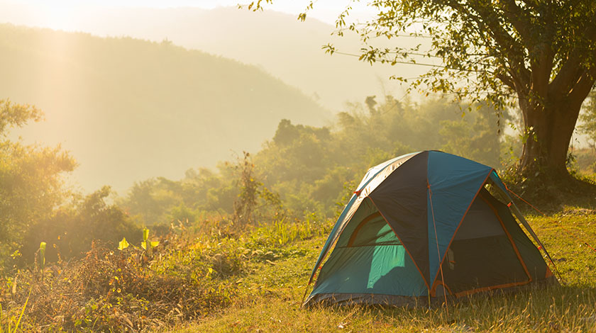 stay-in-the-safety-camp