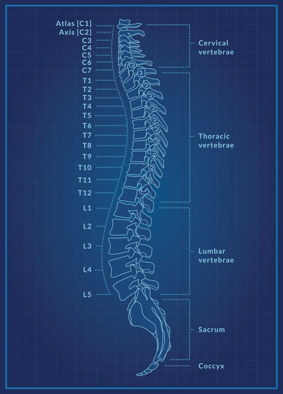 Sciatica Causes Symptoms Prevention