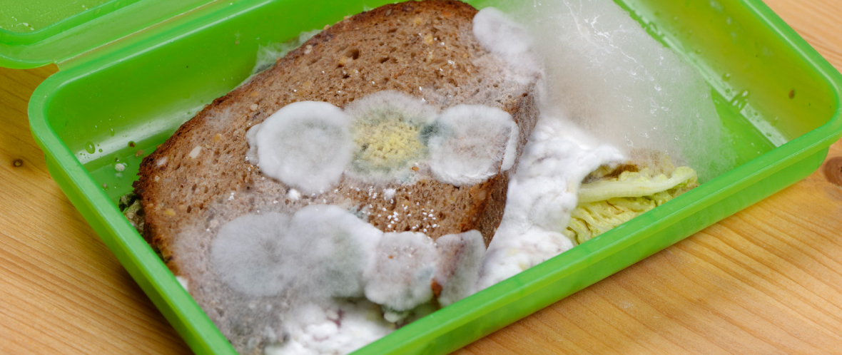 food-mold-affects-human-health