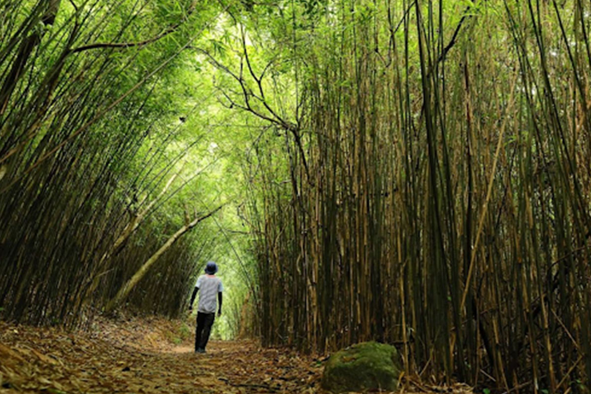 hiking-trails-under-2-hours-in-hong-kong.jpg