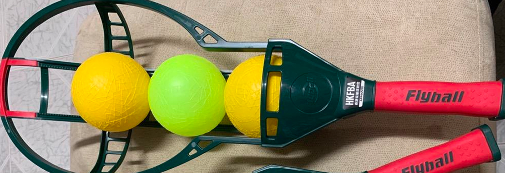 origin-of-flyball-how-to-play-flyball