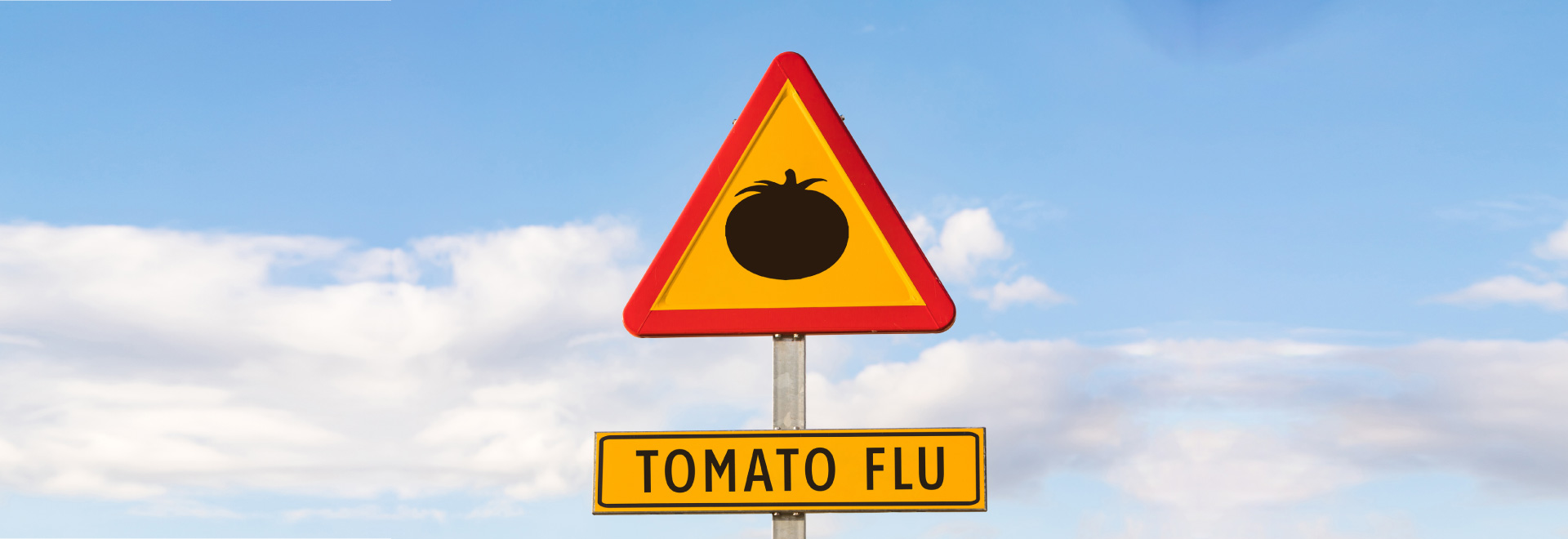 tomato-flu-causes-symptoms-death-rate